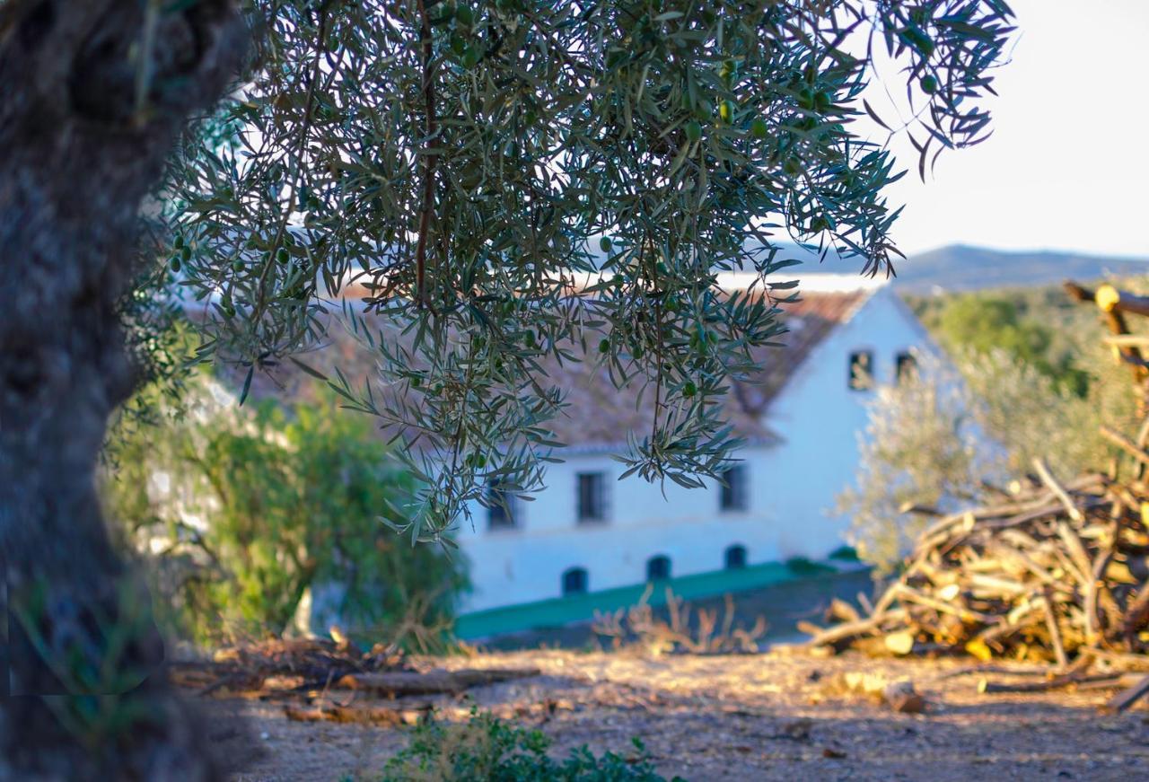 Cortijo Alzamigaja Villa Archidona Kültér fotó