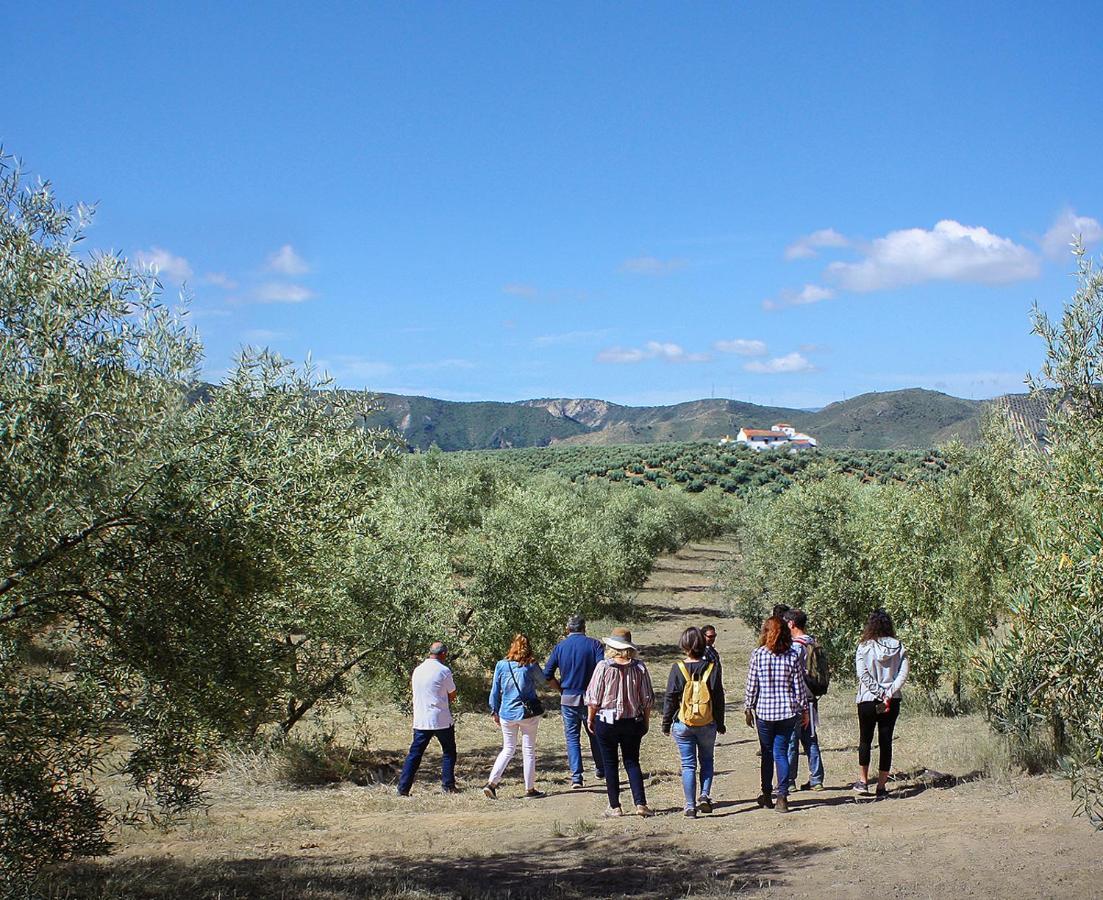 Cortijo Alzamigaja Villa Archidona Kültér fotó
