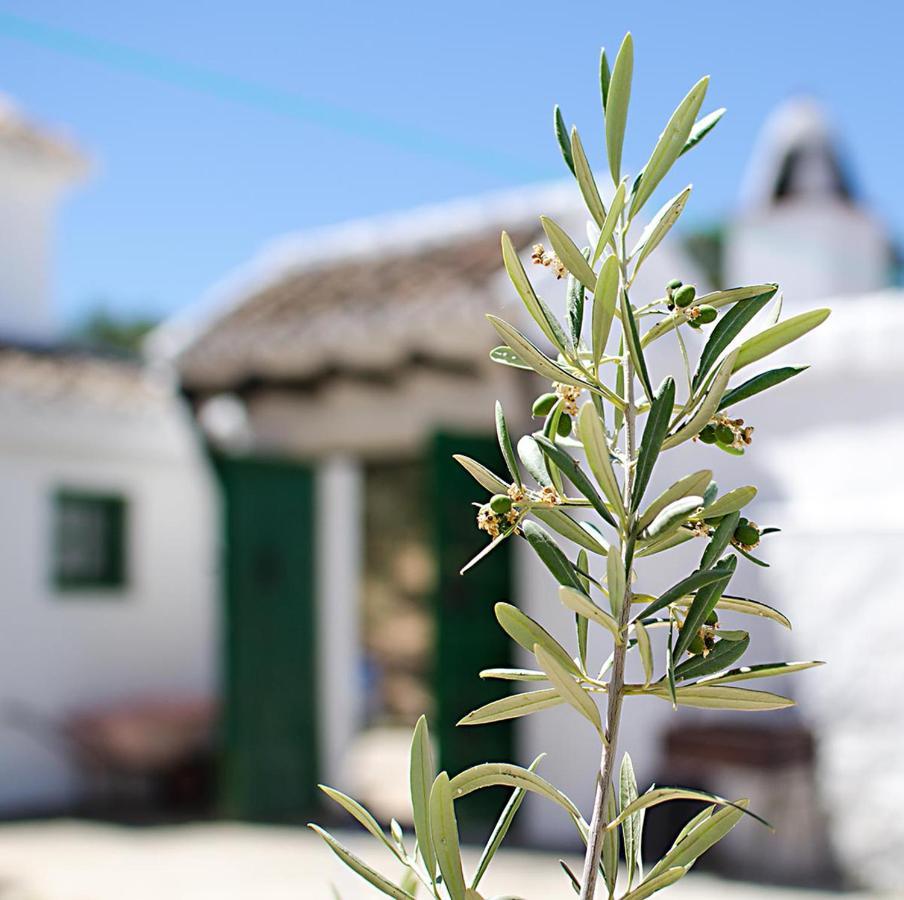 Cortijo Alzamigaja Villa Archidona Kültér fotó