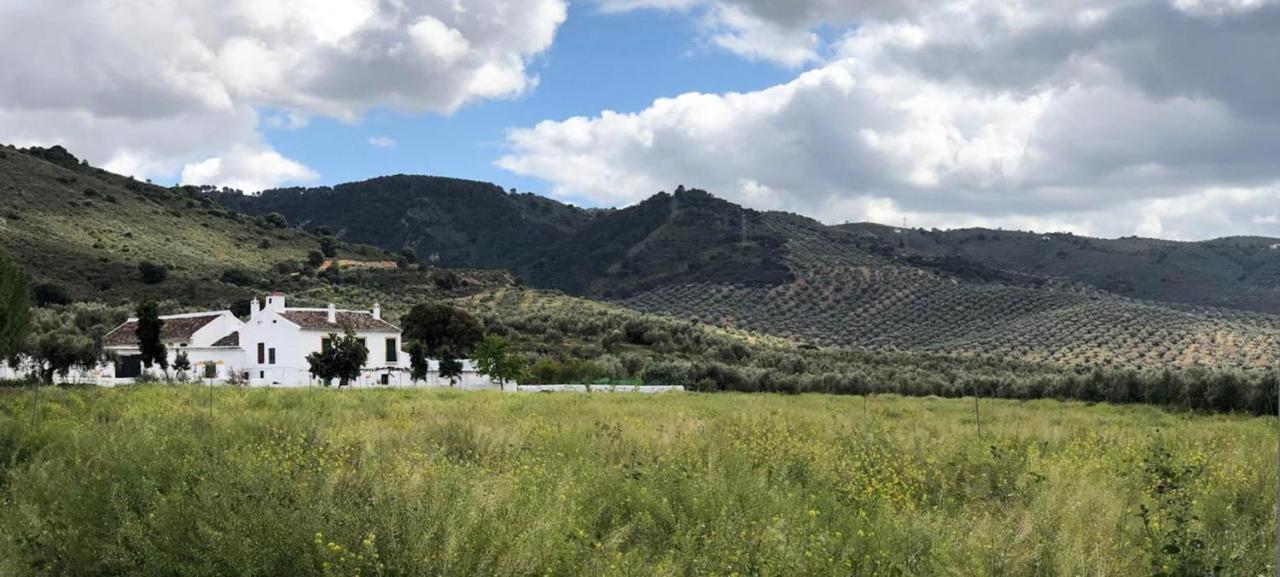 Cortijo Alzamigaja Villa Archidona Kültér fotó